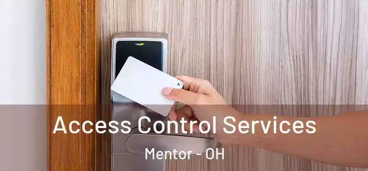 Access Control Services Mentor - OH