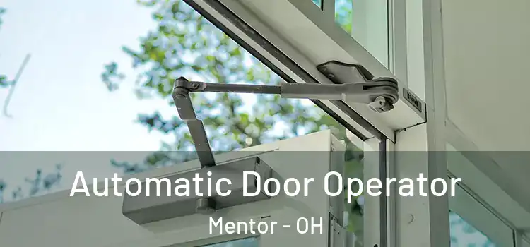  Automatic Door Operator Mentor - OH