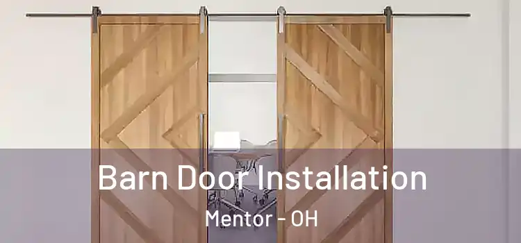  Barn Door Installation Mentor - OH