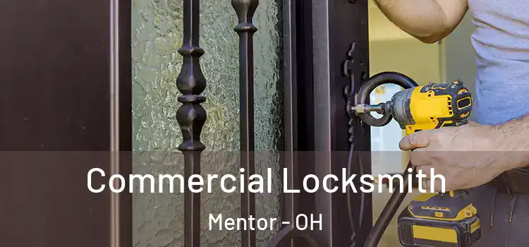  Commercial Locksmith Mentor - OH