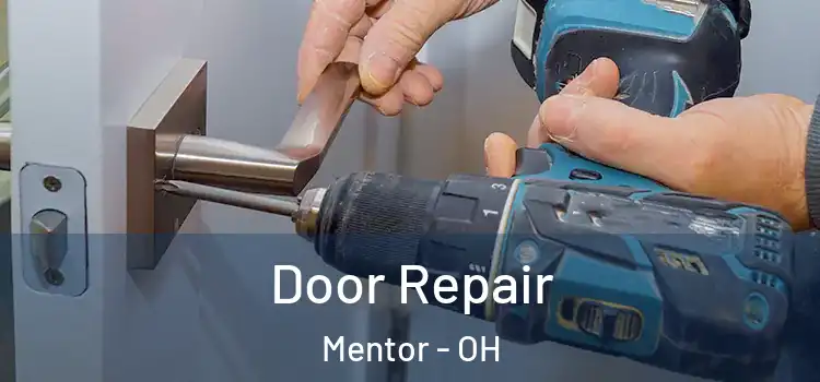 Door Repair Mentor - OH