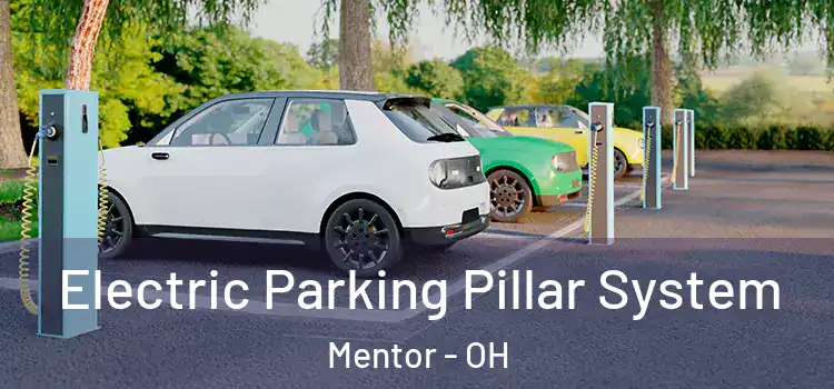  Electric Parking Pillar System Mentor - OH