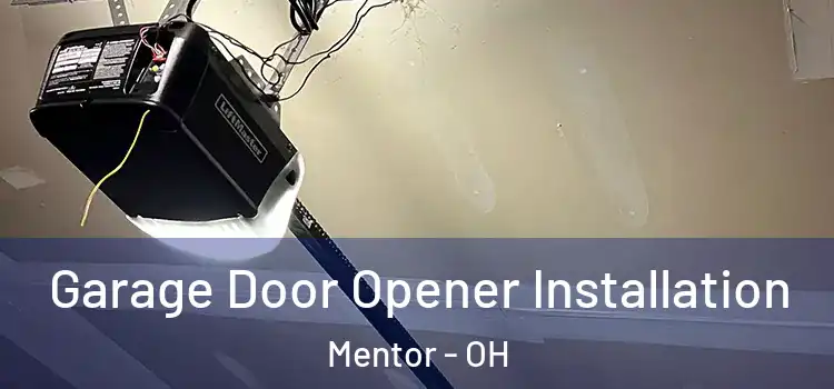  Garage Door Opener Installation Mentor - OH