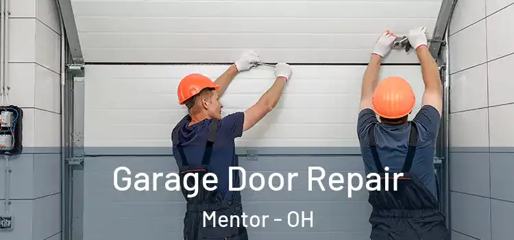  Garage Door Repair Mentor - OH
