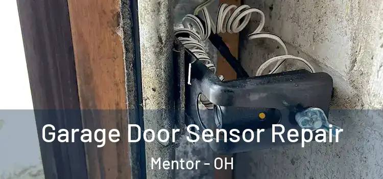  Garage Door Sensor Repair Mentor - OH