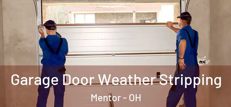  Garage Door Weather Stripping Mentor - OH