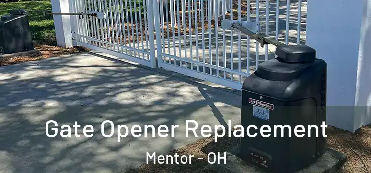  Gate Opener Replacement Mentor - OH