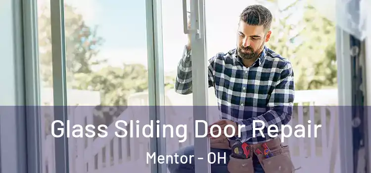  Glass Sliding Door Repair Mentor - OH