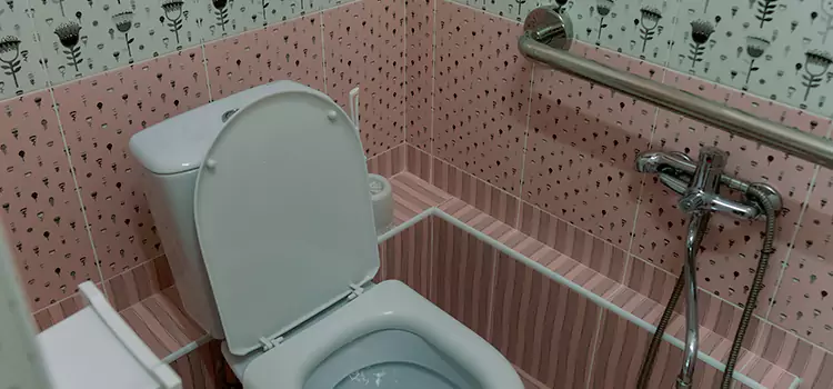 Meeting Diverse Needs With Accessible Restroom Solutions in Mentor, OH