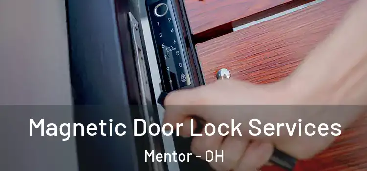 Magnetic Door Lock Services Mentor - OH