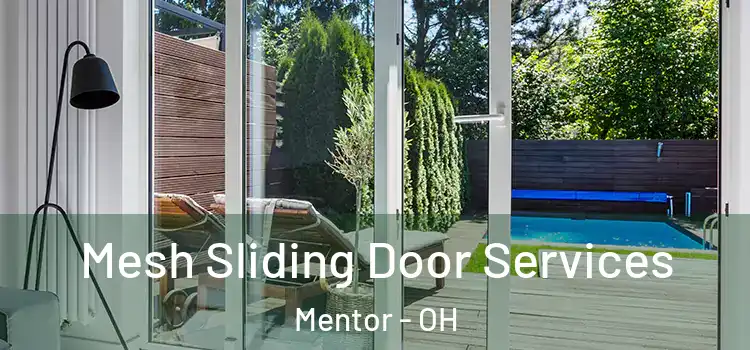 Mesh Sliding Door Services Mentor - OH