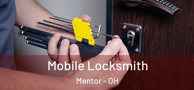  Mobile Locksmith Mentor - OH
