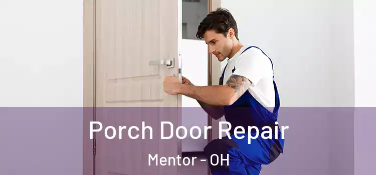  Porch Door Repair Mentor - OH