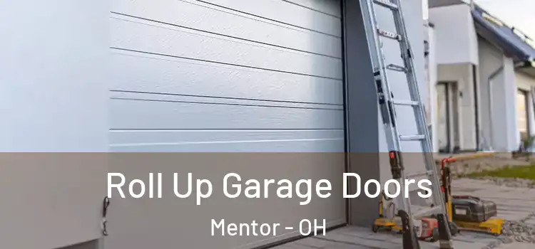  Roll Up Garage Doors Mentor - OH